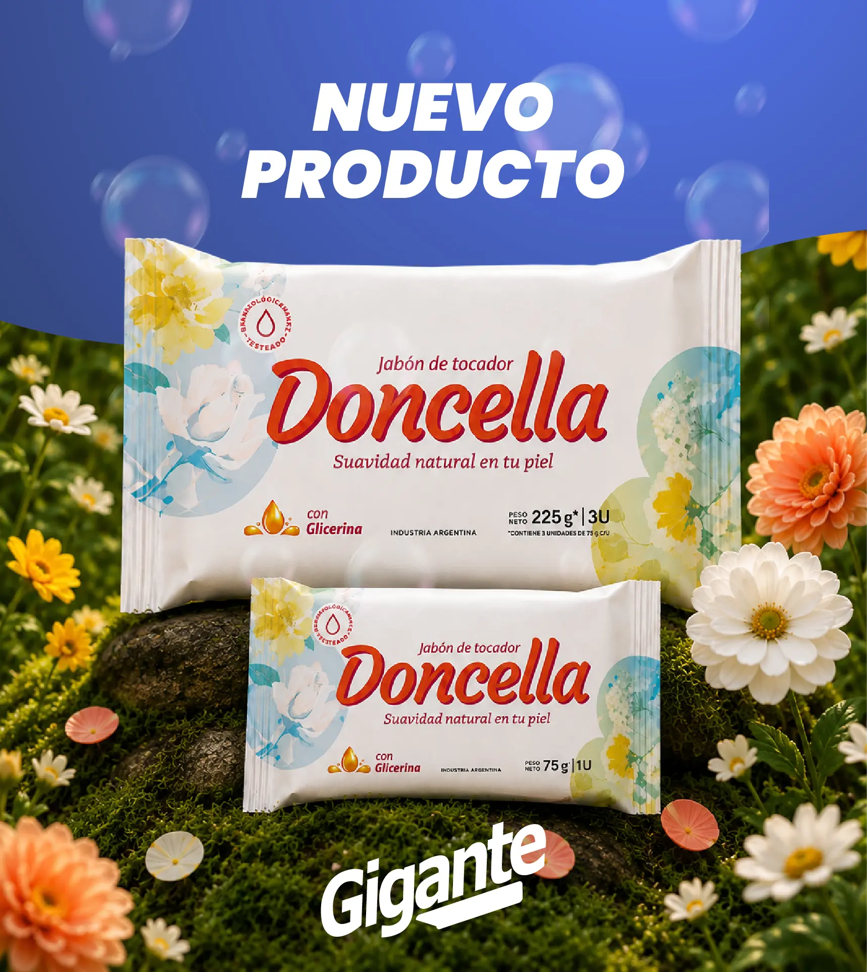 BANNER_CELULAR.jpg